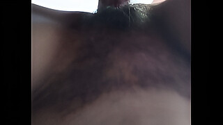 Mature fox