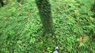 I see a girl cycling in the woods and when I go to urinate she helps me by giving me a blowjob in public