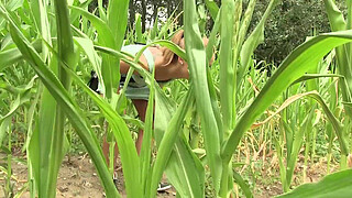 Sweet teen cuties have a roll in the corn