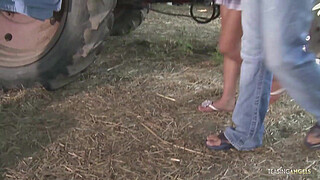 Her small tits bounce while the brunette milf is having anal sex in the barn