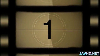 Japanese Beauties in Lingerie Vol 14