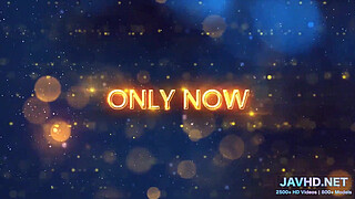 Japanese Beauties in Lingerie Vol 14