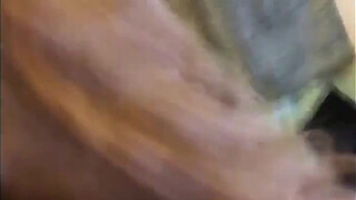 Small Girl Gets Her Brains Fucked Out