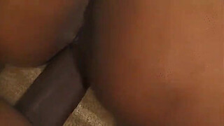 Caramel big tits ebony black