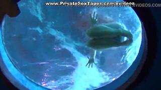 Sexy cutie hot couple porn scenes in the aqua park