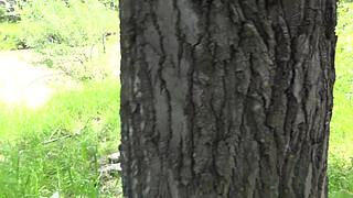Voyeur outdoors peeps at two naked lesbians. Nudists with big asses sunbathe and enjoy nature and masturbation.