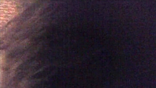 amateur interracial blowjob