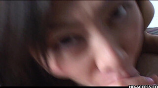 Asian ho gives hot blowjob and gets down and dirty