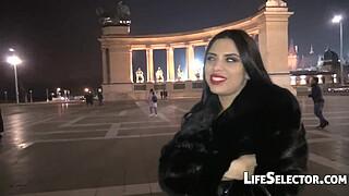 Porno Dan's MILFs just wanna have fun