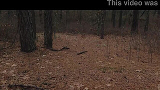 Two sick perverts take bubble butt MILF for a crawl into the woods