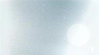 Doggy Dicked Slut Zoe Parker Faces A Load Of Hookup Jizz!