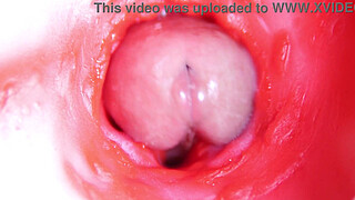 CAMERA INSIDE PUSSY: ALMOST CUM IN PUSSY! BEST Internal ASMR in 4K