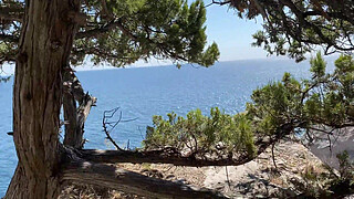 fucked her in the woods in the ass