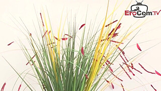 German fat woman picked up on the street for pocket money