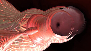 19 Year Old Ellie With an Older Black Man