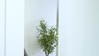 Bragging Stepsis Is Proven Wrong By BBC Cock - Roxie Sinner - MyPervyFamily