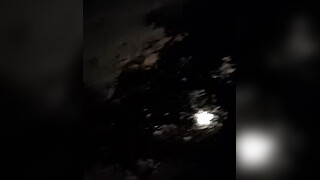 I caught my stepsister smoking a cigarette and so that I wouldn’t tell anyone, she licked my pussy (with conversations) - Lesbian Illusion Girls