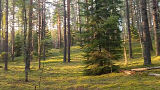 My Little Summer Anal Adventure At The Lake