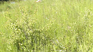 Milf sexy woman sunbathing naked on river bank. Random guy is watching. Naked in public. Public. Publicly. Wild beach Nudist. Perfect ass. Pussy. Blonde. Doggystyle. Woman got into doggy style position. Outdoor. Outside. Outdoors. Nudists. Naturist. POV