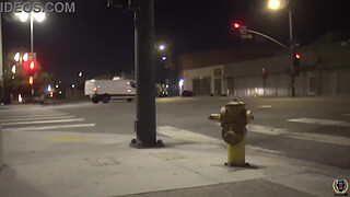 It's Rome Major Fucking Cameron Skye's Boobs & Cunt In Public!