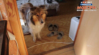 I confused my stepdaughter with my wife and creampied her ass