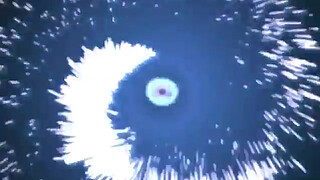 Scot pilgrin with kim fucking