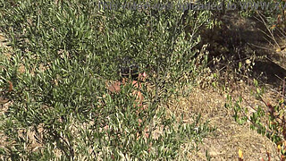 French nudist milf is SHOCKED !!! she caught a real voyeur following her !!!