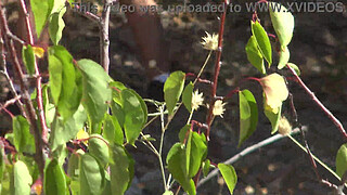 French nudist milf is SHOCKED !!! she caught a real voyeur following her !!!