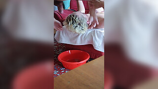 German Milf Sandra gets Facefucking deepthroat strangle anal creampie Hardcore part 1