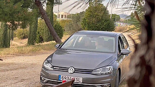 Miss Alessandra is so horny that she ends up failing Jesus Reyes in a field in broad daylight