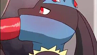 Pokemon Lucario Compilation