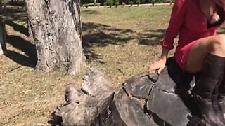 Public sex in the park in the eyes of passers-by