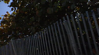 Brunette slutty whore cumshot and fucking