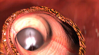 Rey from Star Wars loses her virginity to an older black guy