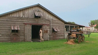 Can’t Be Roots XXX Porn Parody