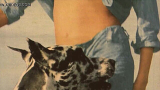 Dark Lantern Entertainment presents