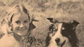 Dark Lantern Entertainment presents