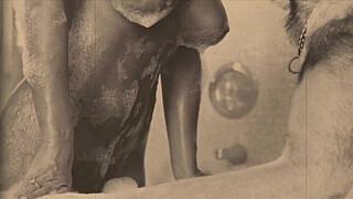 Dark Lantern Entertainment presents 'Beauty And The Beast'