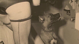 Dark Lantern Entertainment presents 'Beauty And The Beast'