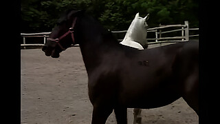 xvideos.com 975168c05234ffb3b3966226d738fa4a