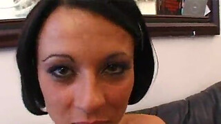 jacuie and michel: Stella