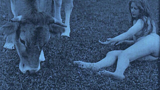 Vintage Babes With Pets