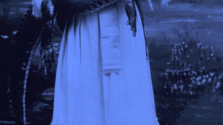 Vintage Babes With Pets