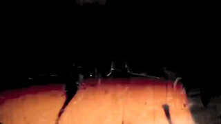 Vintage Babes With Pets