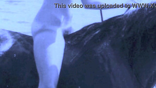 Vintage Babes With Pets