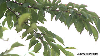 Japanese s are naked and masturbating during the class, uncensored