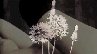 Vintage Taboo, Pussy & Pooch