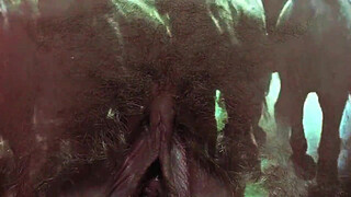 Vintage Taboo, Pussy & Pooch