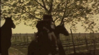 Dark Lantern Entertainment presents 'Beauty And The Beast'