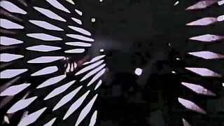 Dark Lantern Entertainment presents 'Beauty And The Beast'